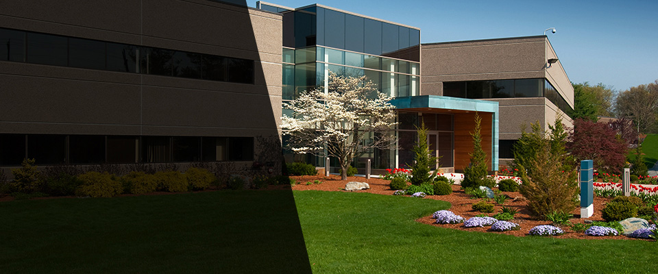 Clintondale Landscapers