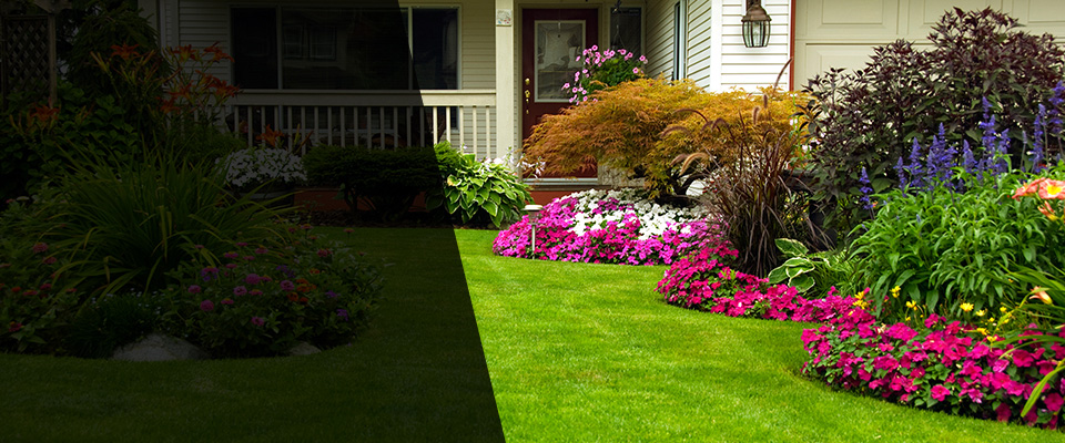 Clintondale Landscapers