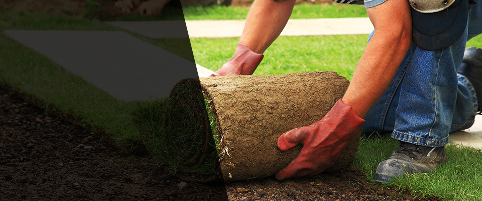 Clintondale Landscapers